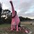 Lorin DeForest's profile image