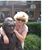 Taffy Whittington Mabe's profile image
