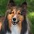 Nancy Deger Spalding's profile image