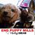 Mary Reisinger's profile image