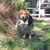 Joleen K Zabawa's profile image