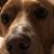 Lynn Blaha's profile image