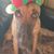 Jennio Mchenry's profile image