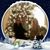 Susann Johnson Paneto's profile image