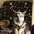 Linda Miller's profile image
