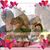 Connie Leach's profile image