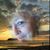 Pamela DuBois's profile image