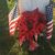 Carolynne M. Proffer's profile image