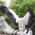 Jeff Dean's profile image