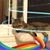 Lynne Lombardo's profile image