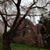 Susan Mednick Bramson's profile image