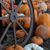 Shelly Pemberton Bennett's profile image