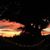 Janice Roecker Tarlecki's profile image