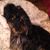 Michelle Noble's profile image