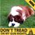Nimm Cujo's profile image