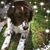 Shelley Gentry-Gribbins's profile image
