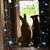 Sherri Wilson Reyes's profile image