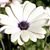 Robyn Harding's profile image