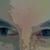Susan Sampson's profile image