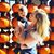 Katy Luttrell's profile image