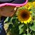 Amanda Mills Behrle's profile image