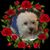 Monica Fernandez Castillo's profile image