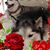 Vivienne M. Treharne's profile image