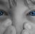 Elaine Lievsay's profile image