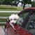 Monica B Munoz's profile image