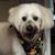 Lisa Slivensky Levine's profile image