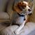 Kathy Anich's profile image