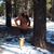 Clau Rodriguez's profile image