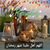 Ahmed Ali Khan's profile image