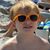 Steve Lanier's profile image