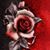Nellie Garrett's profile image