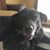 Jess Strayer's profile image
