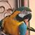 Pam Davis's profile image