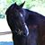Deborah Day's profile image
