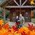 Cathy Sheridan McKaughan's profile image