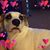 Jan Leonard McKinney's profile image