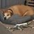 Karen Havens Vaughan's profile image