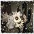 Rachel Crivello's profile image