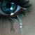 Brenda Kitterman's profile image