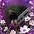 Tammy Nichols's profile image