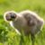 Tabatha Parker's profile image