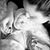 Katherine Ferraro's profile image