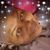 Angela Walker's profile image