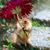 Wendy Perkins's profile image
