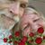 Diane Lengel's profile image
