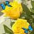Melba D Malespin's profile image
